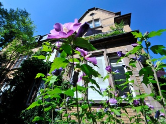 Alte Villa mit Blumen