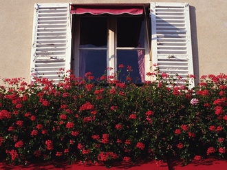 Balkon mit Blumen