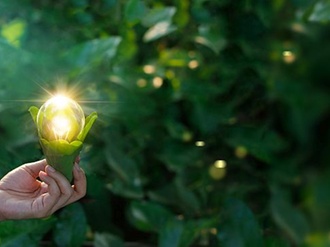 Frau Pflanzen Glühbirne Natur Innovation