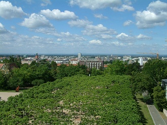 Blick auf Darmstadt