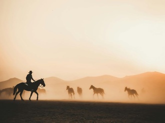 Cowboy Pferd Wilder Westen