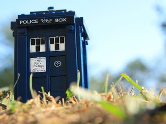 Doctor Who Tardis Modell Wiese