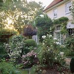 Einfamilienhaus Rosensträucher Garten