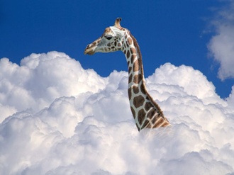 Giraffe über den Wolken Wachstum