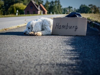 Hamburg Schild Tramper Landstraße Hund