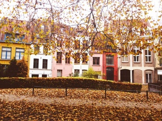 Herbst Blätter Laub Häuser