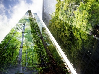 Hochhaus Wald Spiegelung Green Building grün