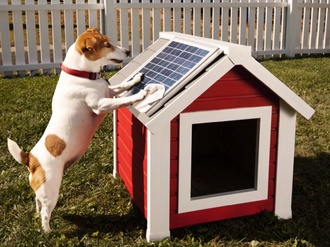 Hunde Solar Panels Haus