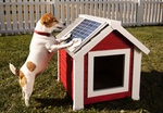 Hunde Solar Panels Haus