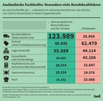 Infografik Ausländische Fachkräfte in Engpassberufen