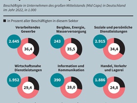 Infografik Mid Caps in Deutschland