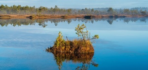 Wasser und Biodiversität