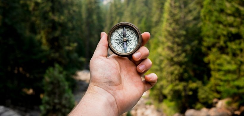 Nachhaltigkeit als Kompass: Wie Unternehmen erfolgreich umsteuern