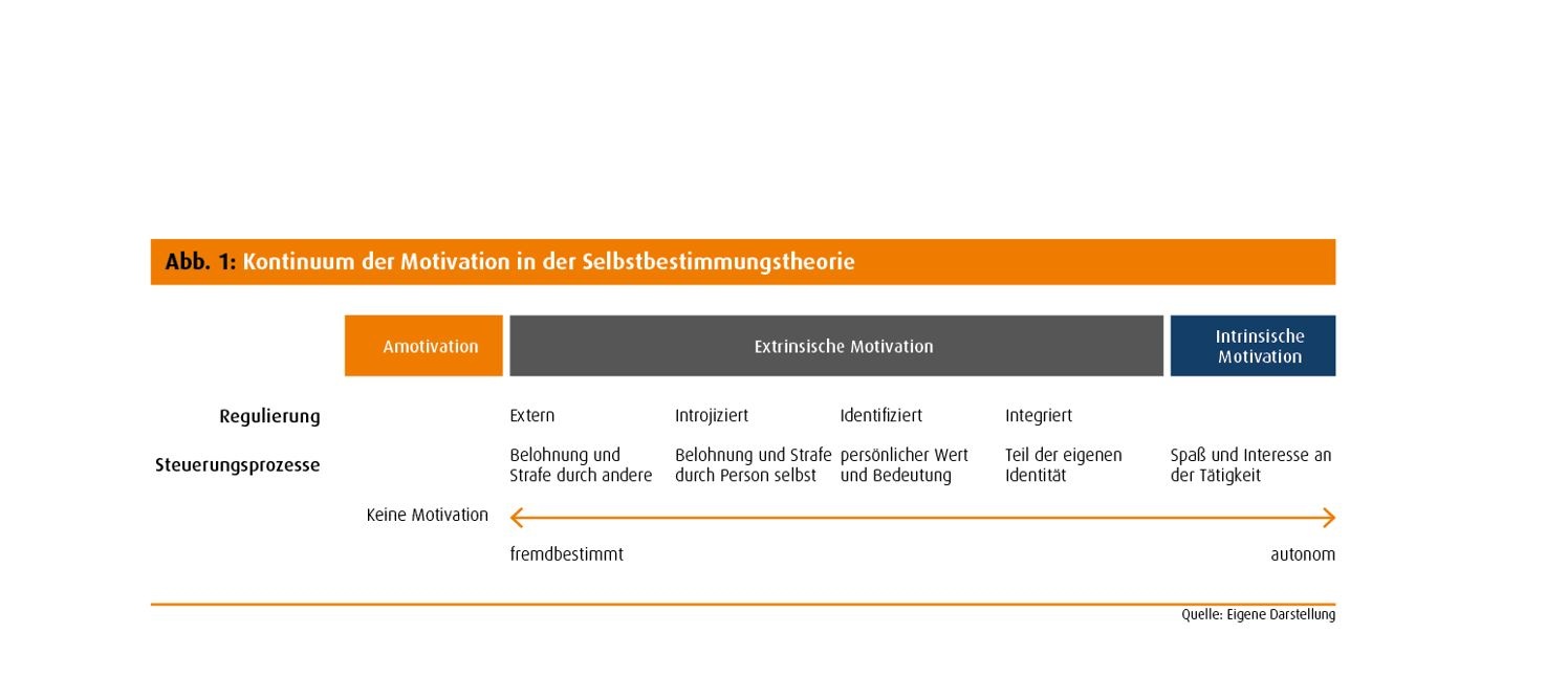 intrinsische Belohnungen