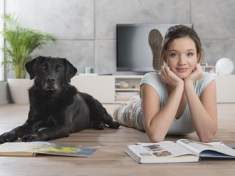 Parkett Hund Frau Teppich Mieter Wohnung