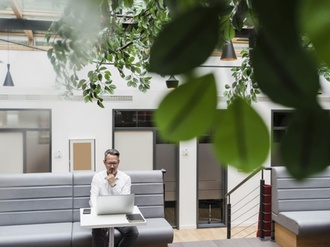 Mann Büro Unternehmen Nachhaltigkeit Bericht Laptop