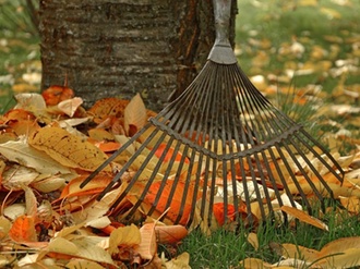 Rechen Laub Herbst Verkehrssicherungspflicht