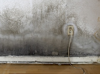 Electrical Outlet in Moldy Wall