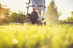 Schwarzarbeit Nachbarschaftsdienst Rasen mähen Gartenarbeit