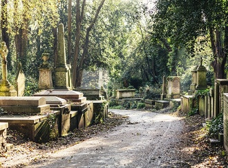 Sehr grüner Friedhof mit alten Grabsteinen