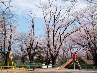 Spielplatz im Frühling