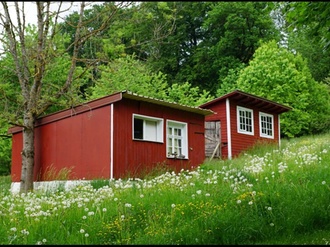 Tiny House grüne Wiese