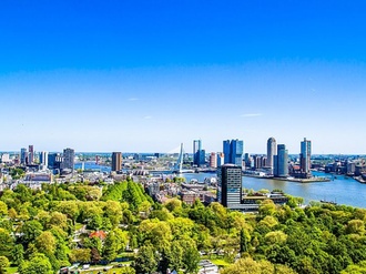 Rotterdam Brücke Gebäude Wasser Park