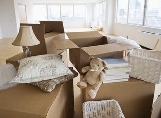 Umzugskartons Bücher Kuscheltiere in Wohnung