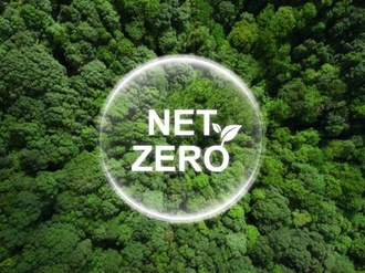 Wald Bäume Net Zero Blase