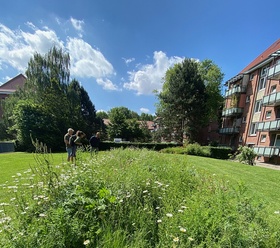 Wildblumenwiese Röhrigblock im Germerring