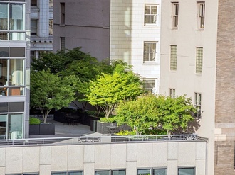 Wohnhaus Wohnungen Bäume auf Terrasse